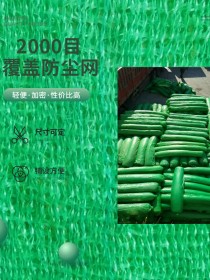 双鸭山2000目防尘绿网